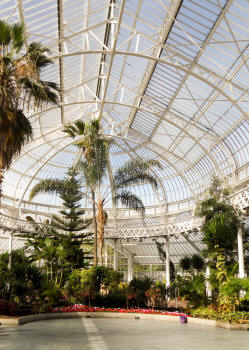 Inside The Glasshouse, Winter Gardens